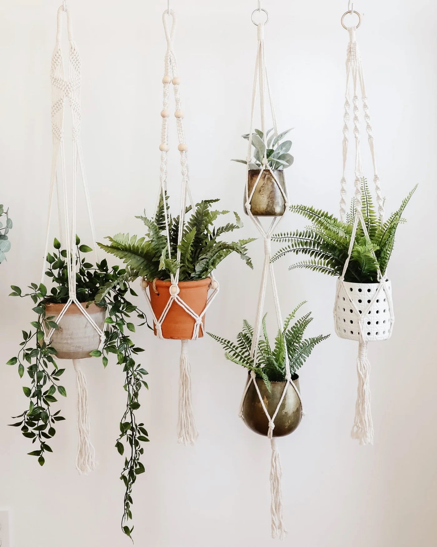 Macrame Plant Holder