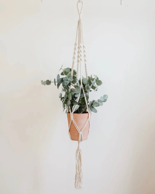 Macrame Plant Holder